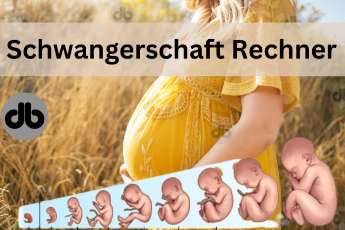 Schwangerschaft Rechner