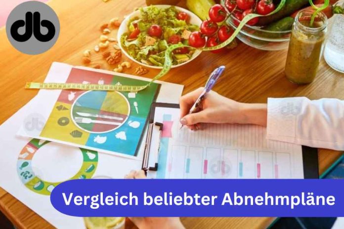 Vergleich beliebter Abnehmpläne Welcher ist der Richtige für Sie
