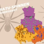nosferatu spinne deutschland