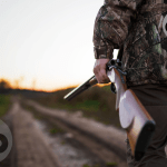 Update zu entlaufener Löwin in Berlin