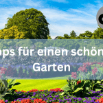 Tipps für einen schönen Garten