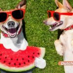 30 Witze voller Liebe