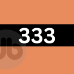 333-Bedeutung-der-Engelszahl-in-Liebe