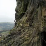 A-Monster-Calls-2016