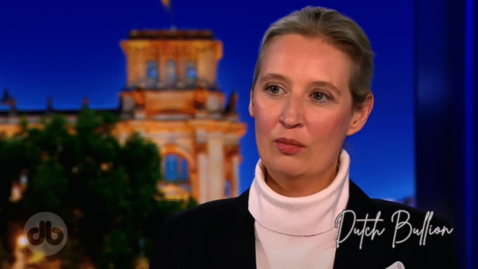 Adolf Hitler war ein Linker - Alice Weidel im Gespräch mit Nikolaus Blome
