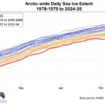 Arktisweite tägliche Meereisausdehnung vom 1. November bis 28. Februar jeder Saison 1978-79 bis 2024-25. Daten aus dem NSIDC Regional Sea Ice Index v3.