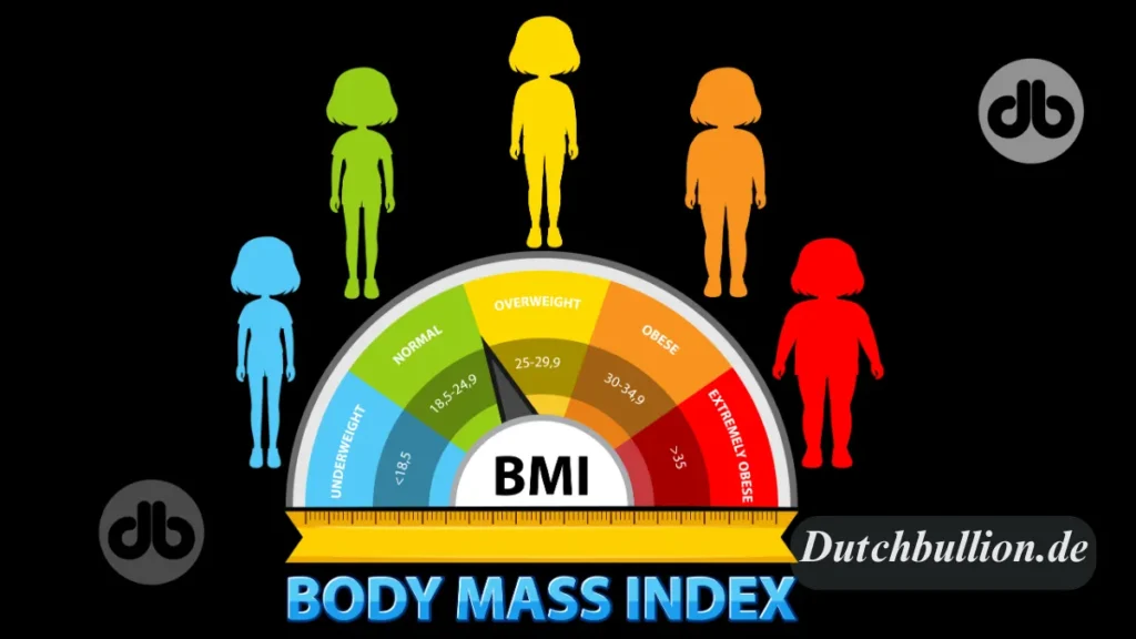 BMI Rechner