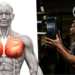 Bauen Sie mit dem Bankdrücken mit umgekehrtem Griff eine riesige Brust auf – Vorteile, Technik, trainierte Muskeln