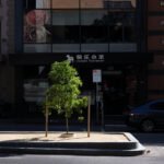 Befriending Trees to Combat Climate Change