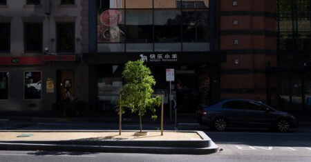 Befriending Trees to Combat Climate Change: Der innovative Ansatz von Melbourne