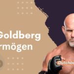 Bill Goldberg und sein Vermögen