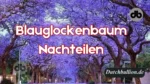 Blauglockenbaum-Nachteilen