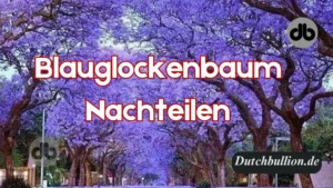 Nachteile des Blauglockenbaums: Warum Sie ihn meiden sollten