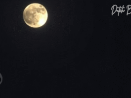 Blutmond Totale Mondfinsternis Heute