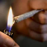 Cannabis-Legalisierung-in-Deutschland-1