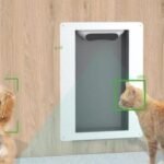 Das Petvation-Erlebnis Freiheit und Sicherheit