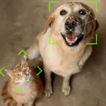 Das-Petvation-Erlebnis-Freiheit-und-Sicherheit