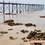 Der Aufstieg und Fall von Voyager Digital