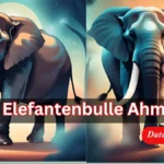 Der Elefantenbulle Ahmed (2)