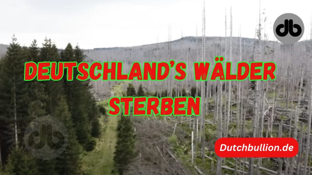 Deutschland’s Wälder Sterben
