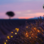 Die 50 besten Schlafenszeit-Zitate für besseren Schlaf