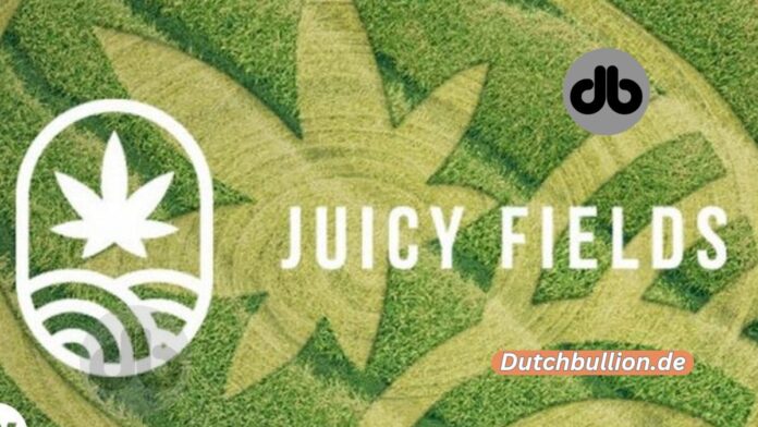 Die Juicyfields-Saga Ein abschreckendes Beispiel für Cannabis-Investoren