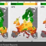 Die-Rolle-des-Klimawandels-und-der-Anpassung