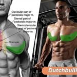 Die beste Lösung für die untere Brustpartie, um definierte Brustmuskeln zu bekommen (2)