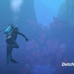 Die-ruhige-Erfahrung-von-Endless-Ocean-Luminous