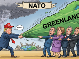 Donald Trump, Grönland und die NATO