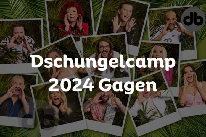 Dschungelcamp 2024 Gagen