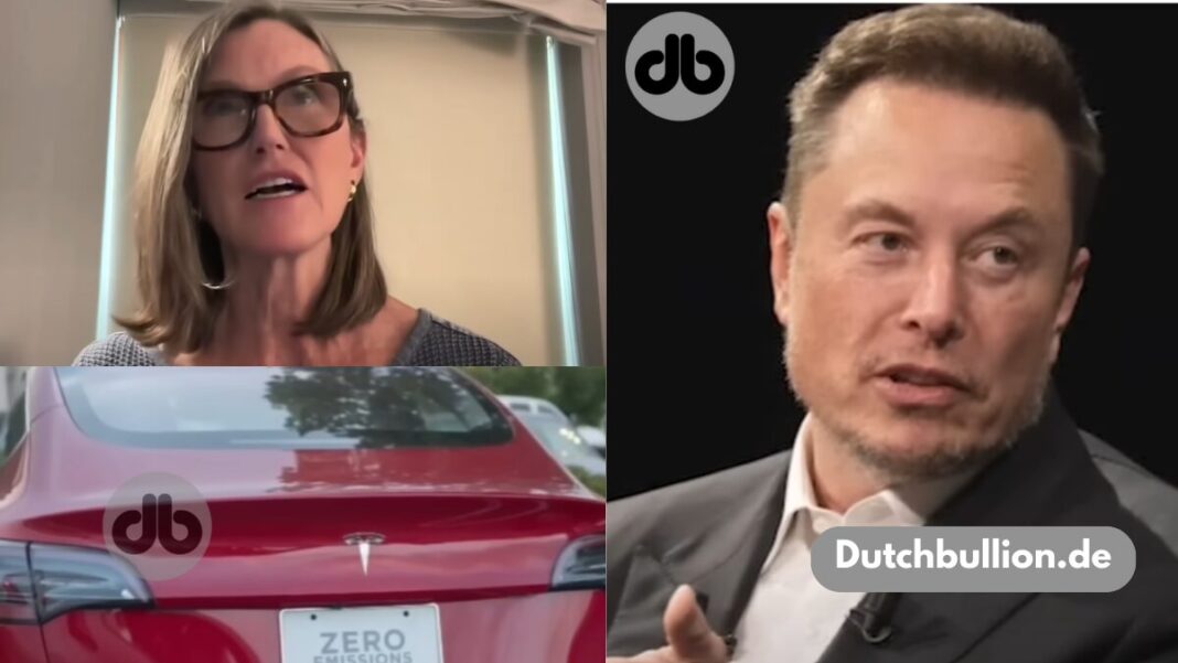 Elon Musk war unglaublich wichtig für Tesla und wird es bleiben