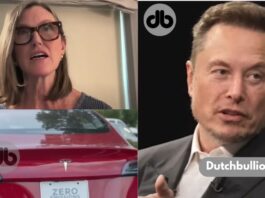 Elon Musk war unglaublich wichtig für Tesla und wird es bleiben
