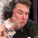 Elon Musks mutmaßlicher Drogenkonsum