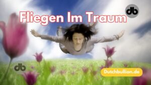 Fliegen Im Traum