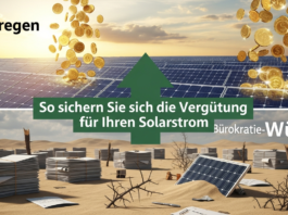 Geldregen oder Bürokratie-Wüste