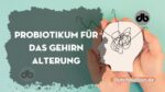 Gewöhnliches Probiotikum kann helfen, das Gehirn vor dem Altern zu schützen