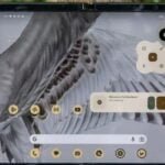 Google Pixel Fold Test