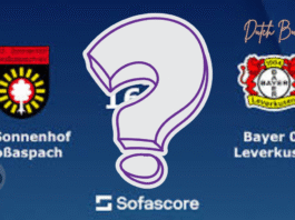 Großaspach vs. Bayer Leverkusen