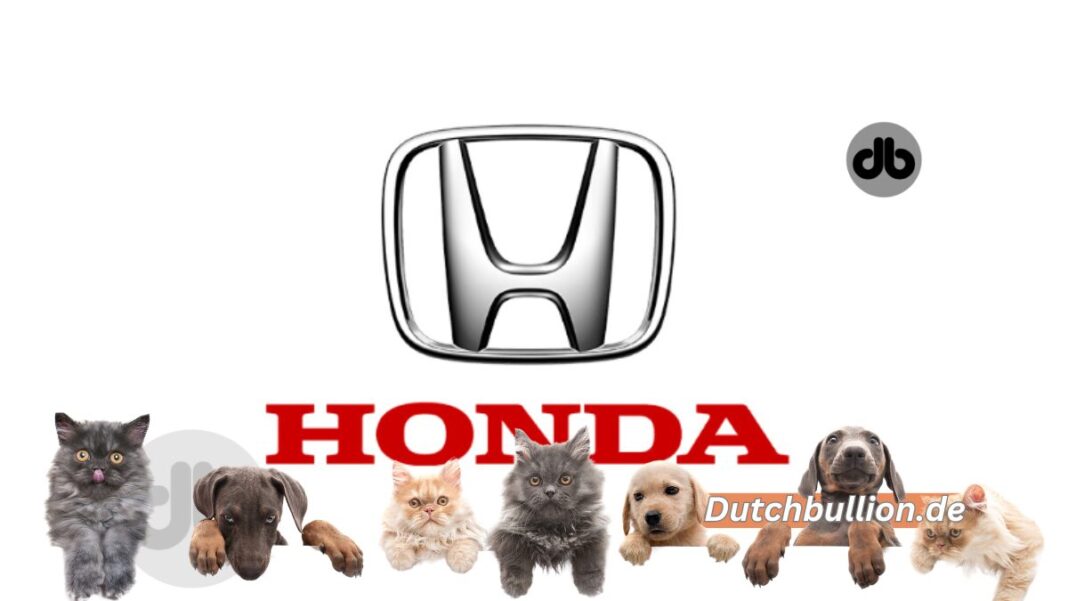 Hondas bahnbrechende PAW-S-Technologie
