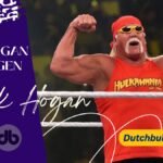 Hulk Hogan Vermögen
