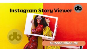 Instagram Story Viewer