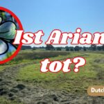 Ist Arian tot
