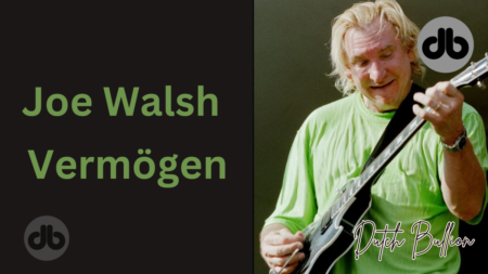 Joe Walsh und sein Vermögen: Gehalt, Einkommen, Biografie und Karriere!