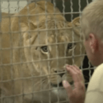 Jörg Gräser Krankheit