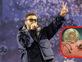 Justin Timberlake und Borreliose