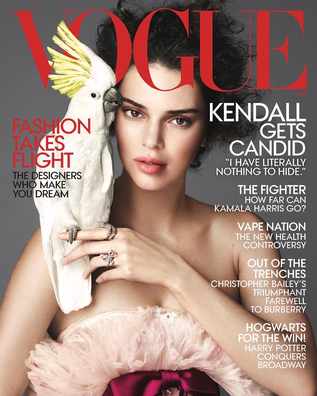 Das Kendall Jenner Vermögen 2025: Mehr als nur ein Model 2 Kendall Jenner Vermögen