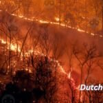 Klimawandel-in-Deutschland-2