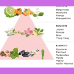 LARISE COCO MADEMOISELLE Duftpyramide