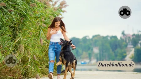 Mit dem Hund unterwegs: das Hundegeschirr